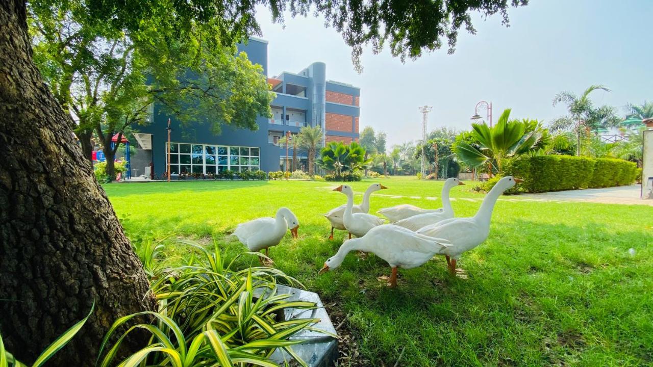 Krishna Riverside Resort Vasad Ngoại thất bức ảnh